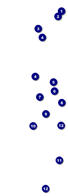 Ballet Dance Recital Event Ticket Front Field Markers