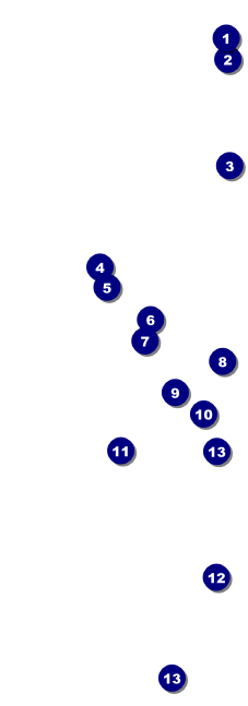 Enchanted Forest Event Ticket Front Field Markers