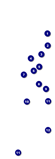 Glittering Celebration Event Ticket Front Field Markers