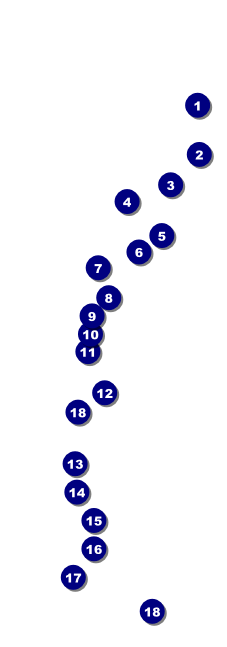 Glittering Celebration Raffle Ticket Front Field Markers