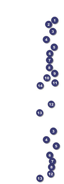 Paper Snowflake General Admission Front Field Markers