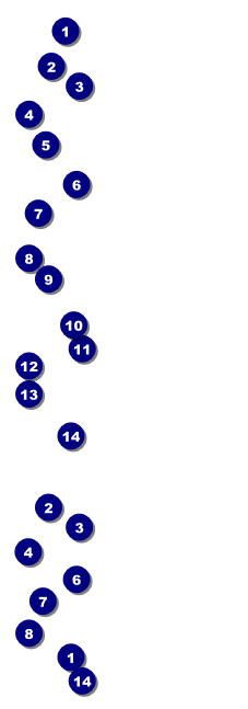 Blue Flowers ticket Front Field Markers