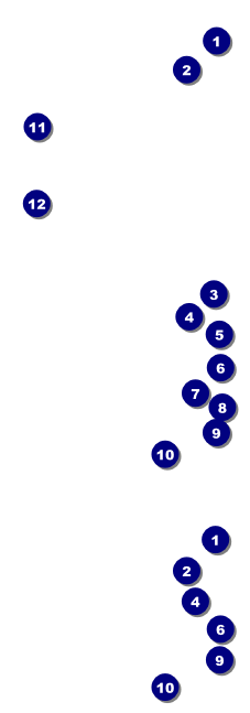 LGBT Pride Event Ticket Front Field Markers