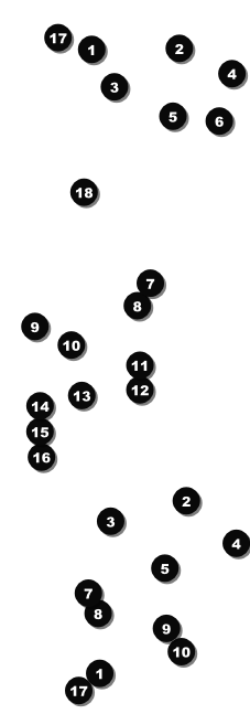 Rock Concert BW Event Ticket Front Field Markers