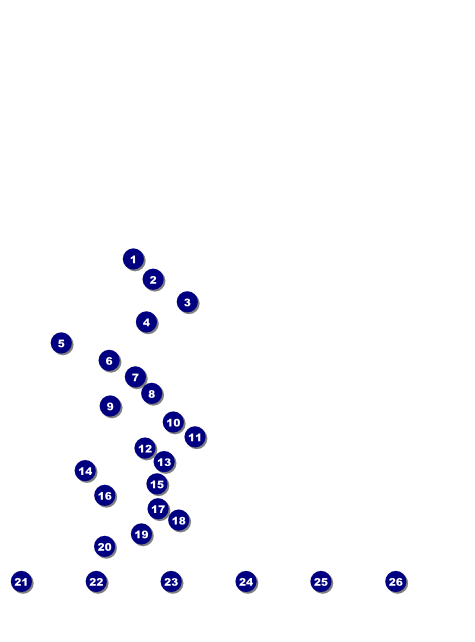 Trail Running Race Flyer Front Field Markers