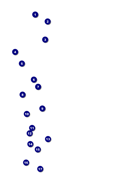 Christmas Angel Flyer 001 Front Field Markers