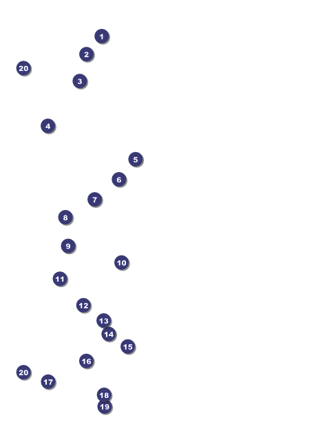 Year Flyer (Blue) Front Field Markers