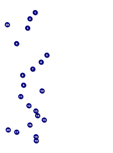 Year Flyer (Gold) Front Field Markers