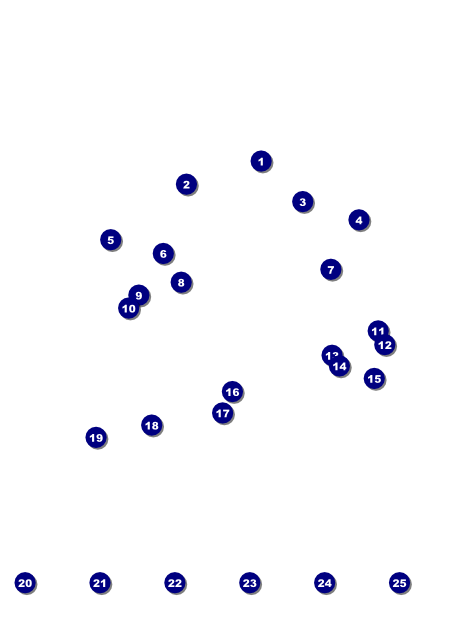 Opera Flyer Front Field Markers