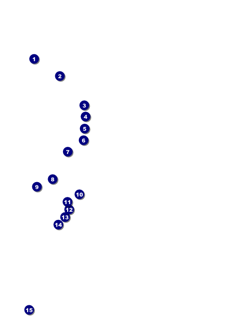 Gala Flyer Front Field Markers