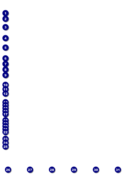 Reggae Flyer Front Field Markers