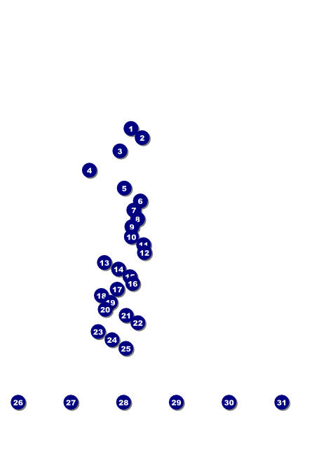 Gospel Flyer Front Field Markers