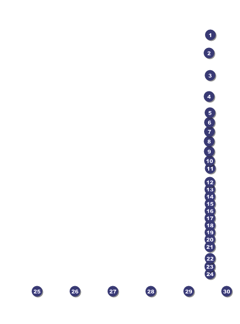 Stock Car Racing Flyer Front Field Markers
