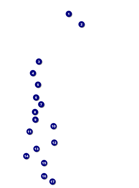 Christmas Poinsettia Flyer 002 Front Field Markers