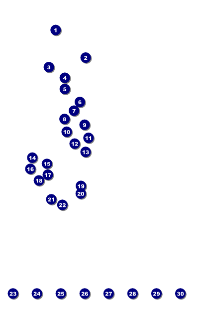 School Carnival Poster Front Field Markers