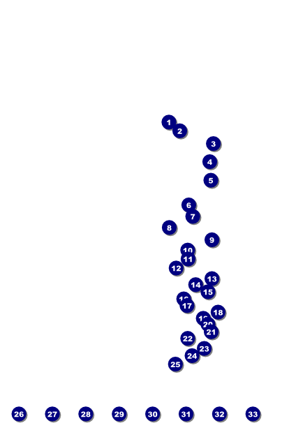 Bridal Fair Poster Front Field Markers