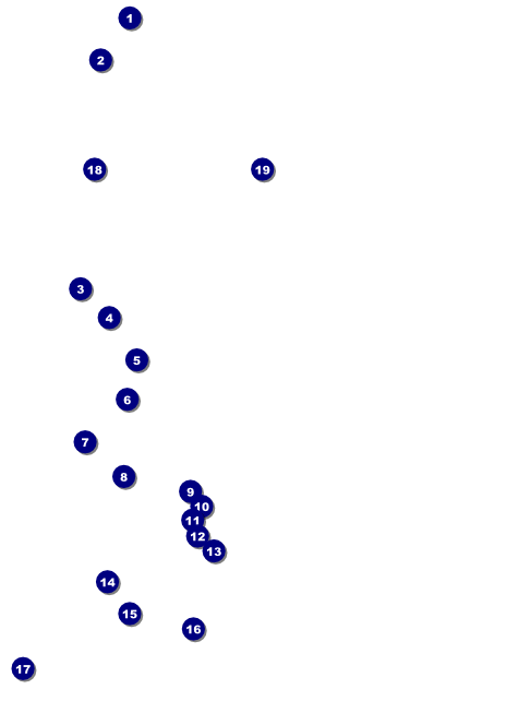 Sports Flyer 002 in Black and Yellow Front Field Markers