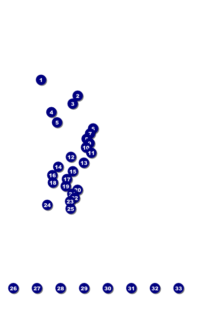 Fashion Show Poster Front Field Markers