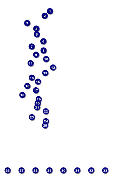 Mixed Martial Arts Poster Front Field Markers