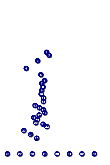 Gospel Poster Front Field Markers