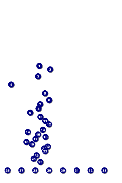 Rubgy Poster with Image Upload Front Field Markers