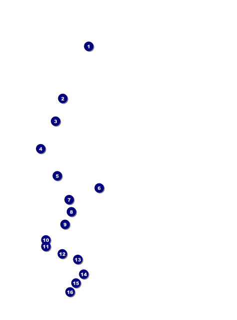 2012 Gold Semi-Formal Flyer Front Field Markers