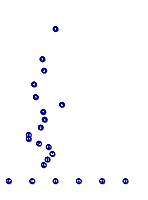 2012 Gold Semi-Formal Logo Flyer Front Field Markers