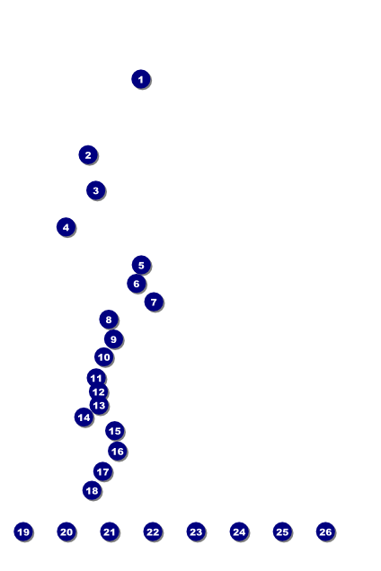2012 Gold Semi-Formal Logo Poster Front Field Markers