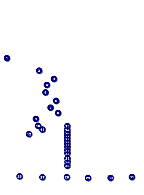 Graduation Diploma Flyer Logo Front Field Markers