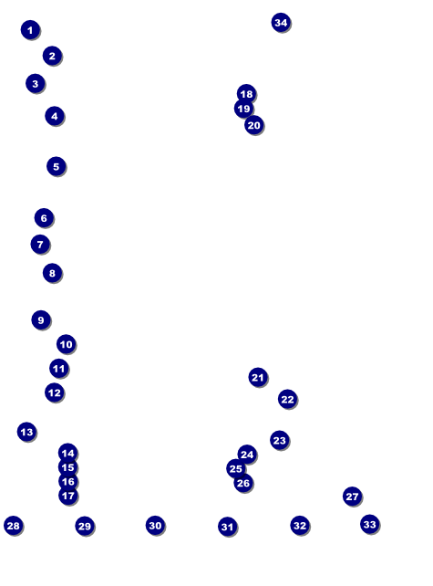Run for a Cause Orange Logo Flyer Front Field Markers