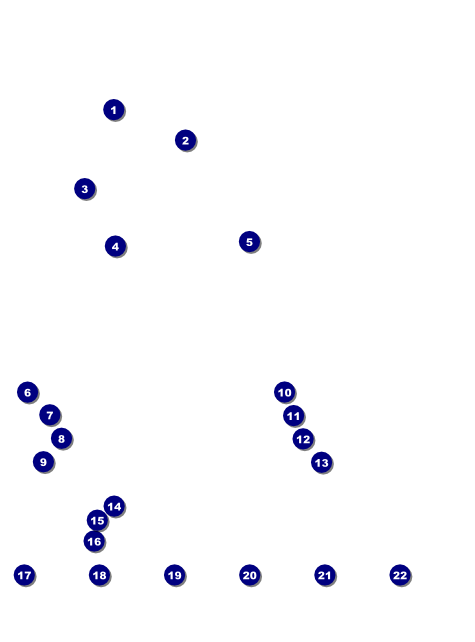 Paris Pink and Black Logo Flyer Front Field Markers
