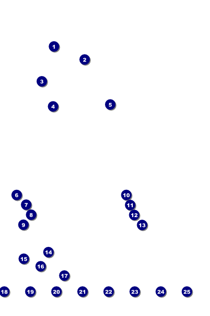 Paris Pink and Black Logo Poster Front Field Markers