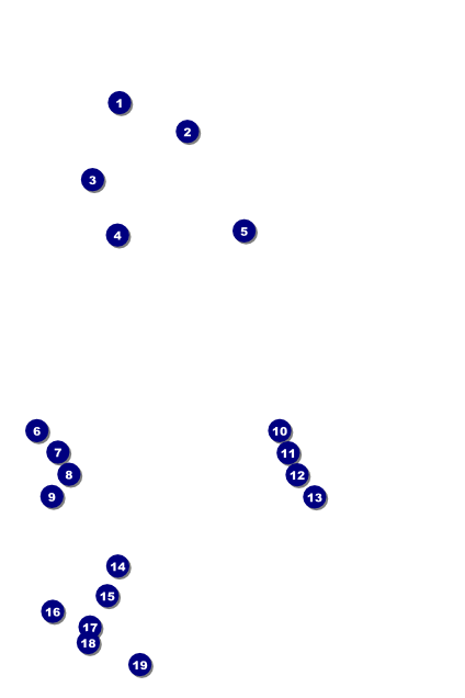 Paris Pink and Black Poster Front Field Markers