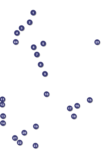 Wrestling Logo Poster (Orange) Front Field Markers