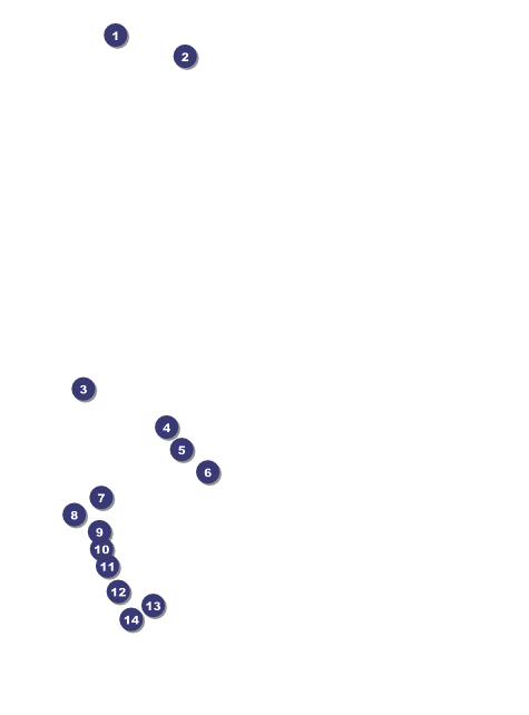 Skating Party Flyer Front Field Markers
