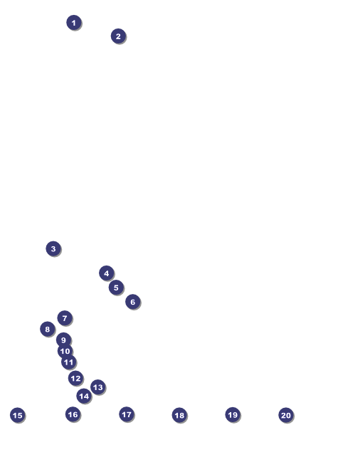 Skating Party Logo Flyer Front Field Markers