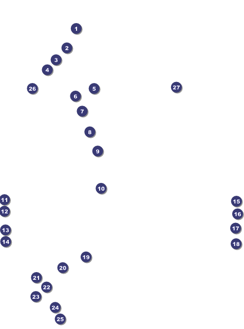 Wrestling Flyer (Black) Front Field Markers