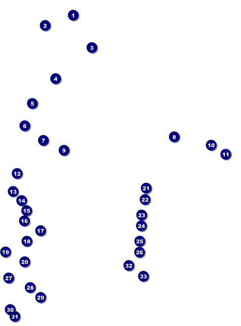 MMA Main Event Flyer (Blue) Front Field Markers