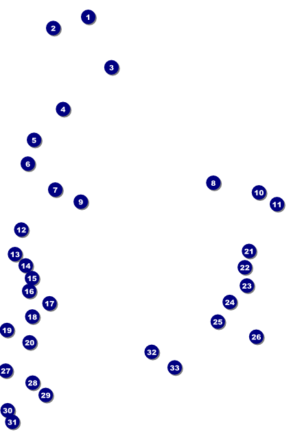 MMA Main Event Poster (Brown) Front Field Markers
