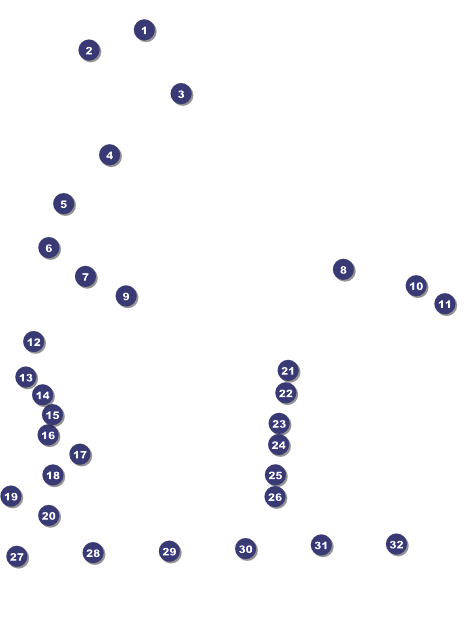 MMA Main Event Logo Flyer (Brown) Front Field Markers