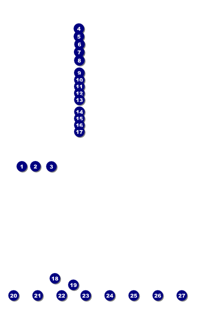 Toronto Poster (Black & white) Front Field Markers