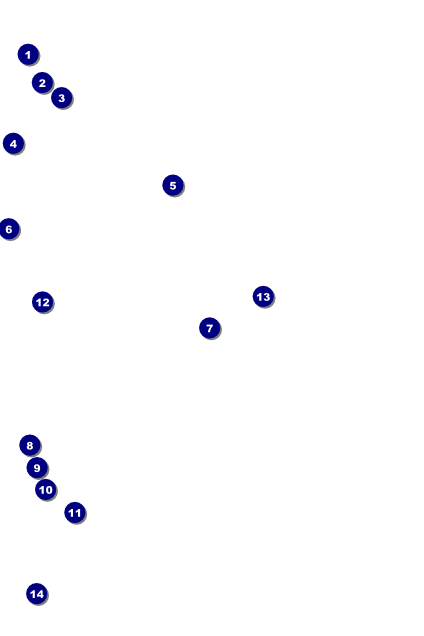 Roller Derby Pink Leopard Logo Banner Poster 2 Front Field Markers