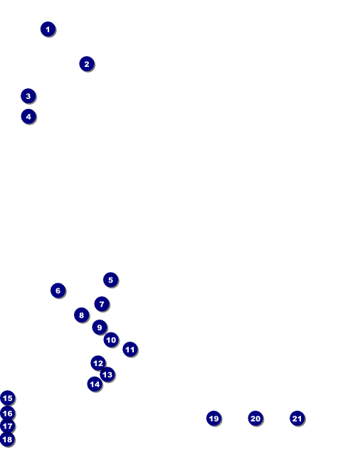 Dance Festival Flyer Front Field Markers