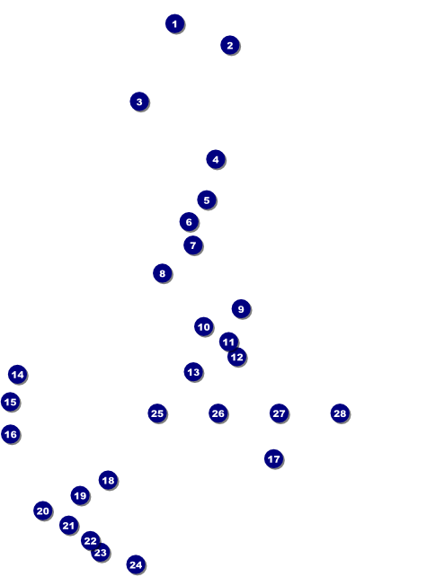 Snowboarding Flyer Front Field Markers