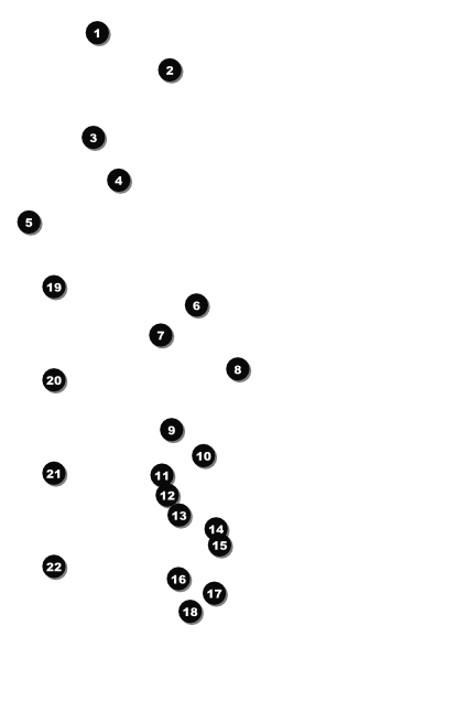 Retro Chalkboard Logo Poster Front Field Markers