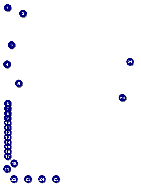 Chinese New Year Snake Flyer Front Field Markers