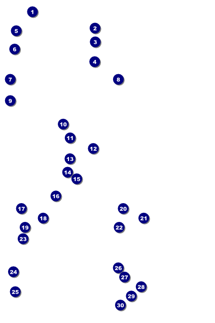 MMA Old School Poster Front Field Markers