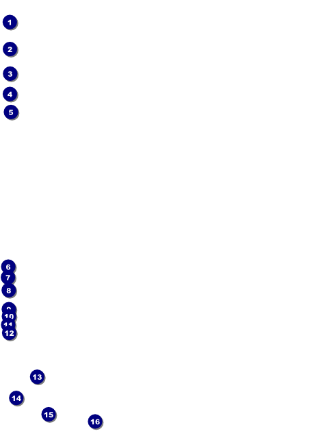 Zombie Woman Flyer Front Field Markers