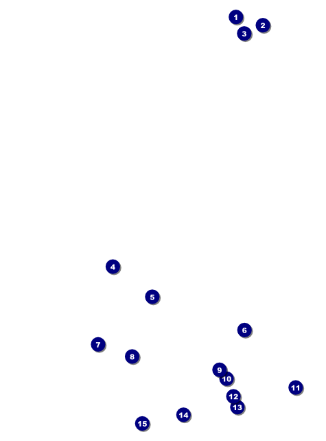 Chinese New Year 2014 Flyer Front Field Markers