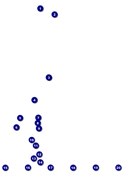 Lacrosse Flyer Front Field Markers
